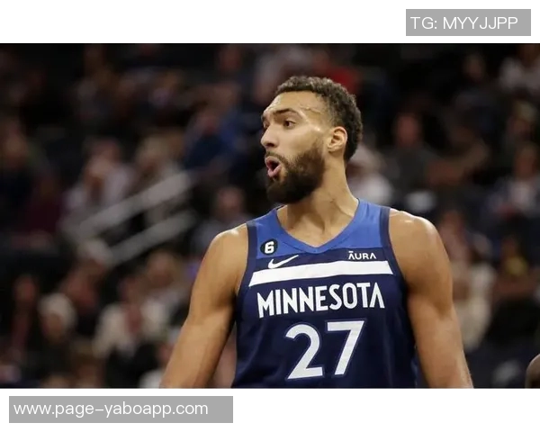 芬奇强调对戈贝尔一视同仁不会为其设定特殊比赛规则